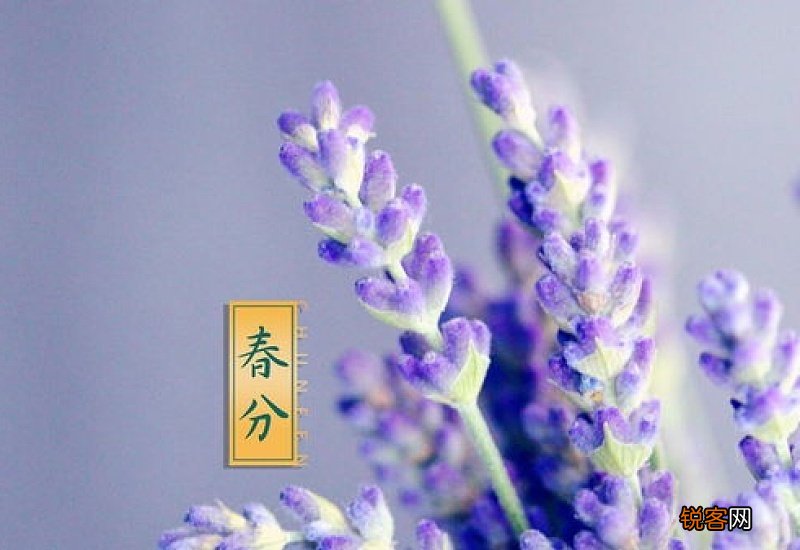2021春分未过能上坟吗