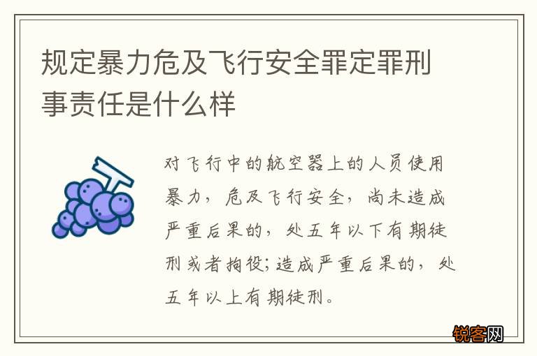 规定暴力危及飞行安全罪定罪刑事责任是什么样