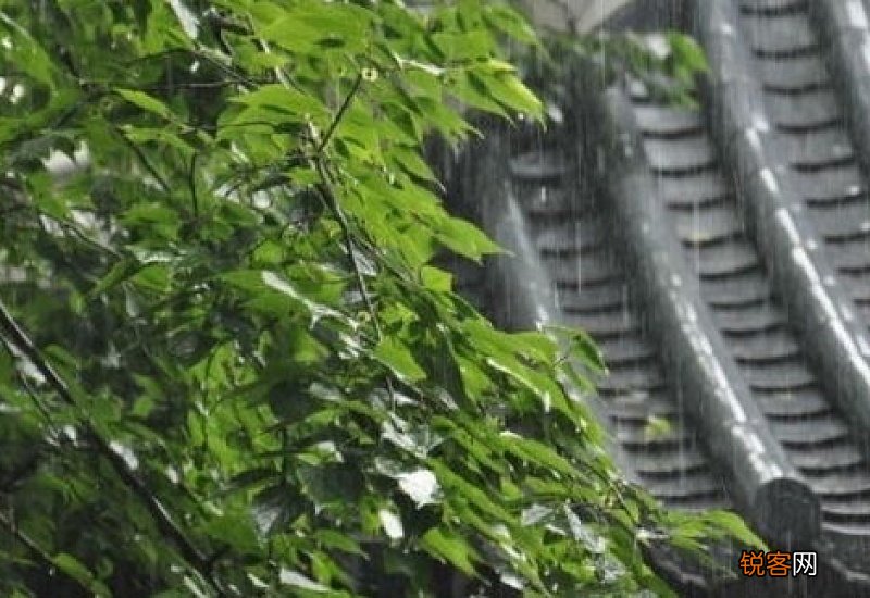 梅雨季节开窗会不会引起涂料发霉