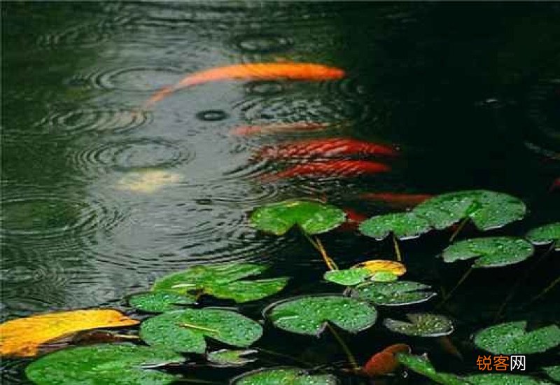 梅雨季节开窗会增加湿度吗
