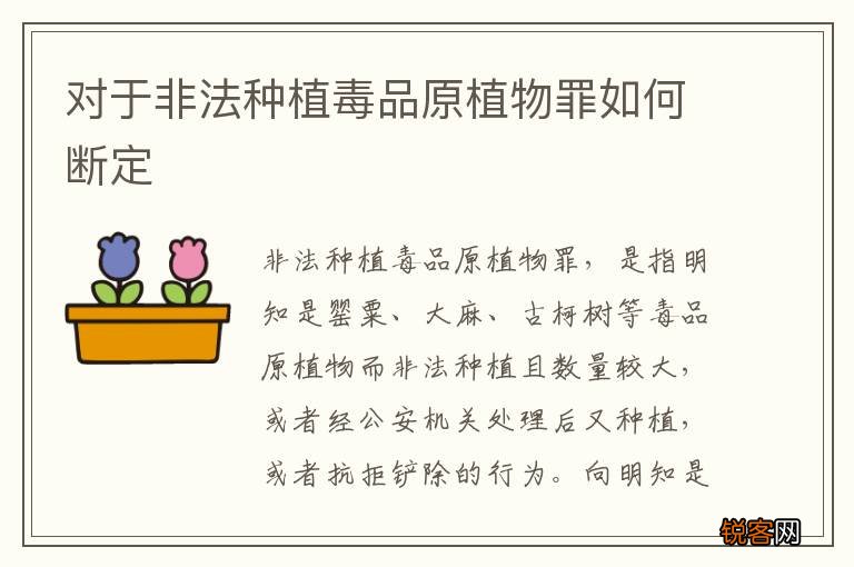 对于非法种植毒品原植物罪如何断定
