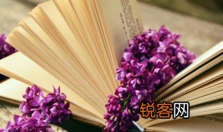 旷怎么组词 旷的组词