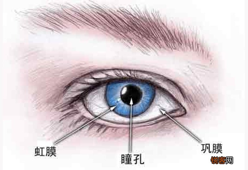 青光眼患者吃什么好？盘点青光眼适合的五种食物