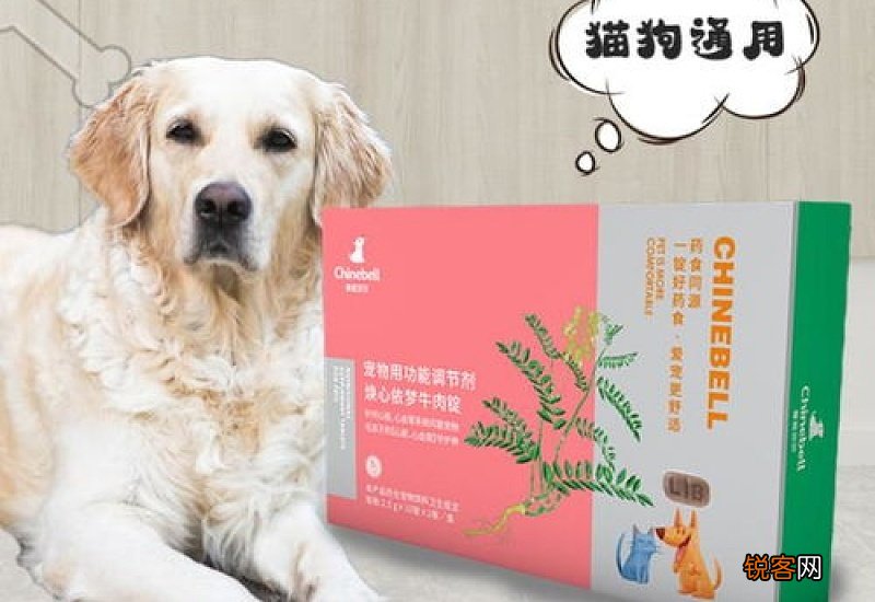 夏天给狗狗剃毛可以降温吗