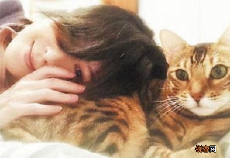如何让猫知道自己错了