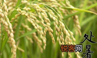 处暑是什么意思啊 处暑是什么意思