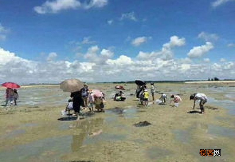 北海哪里可以自己赶海