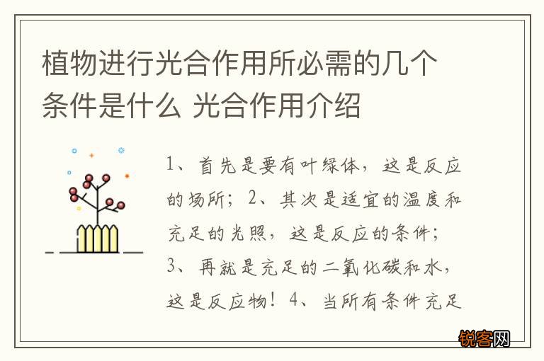 植物进行光合作用所必需的几个条件是什么 光合作用介绍