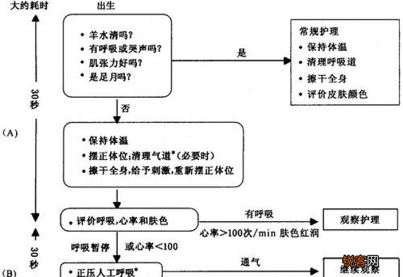 新生儿保险怎么报销 新生儿保险报销流程如下
