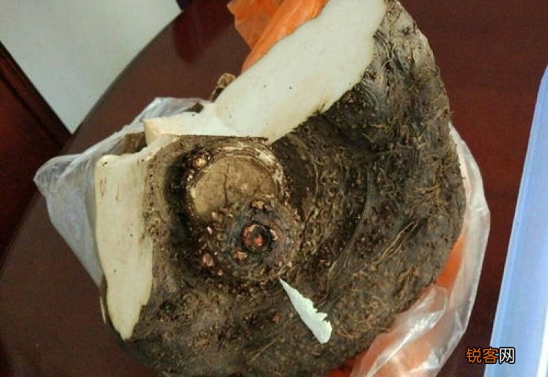 鲜魔芋怎样做成魔芋豆腐