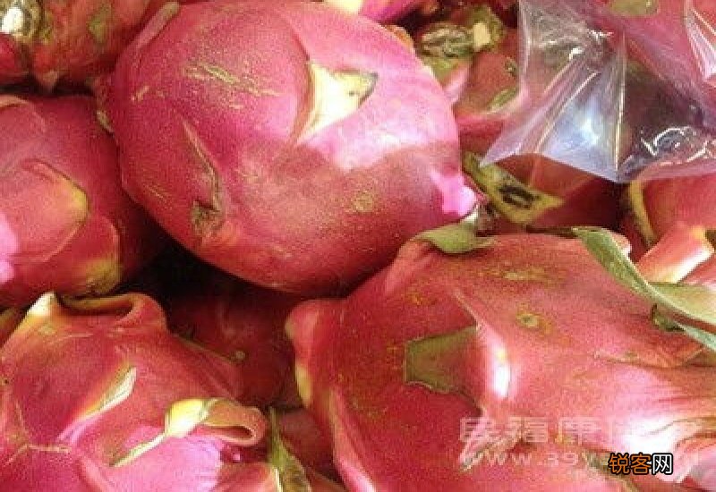 火龙果能和蜂蜜一起吃吗 火龙果和蜂蜜能一起吃吗