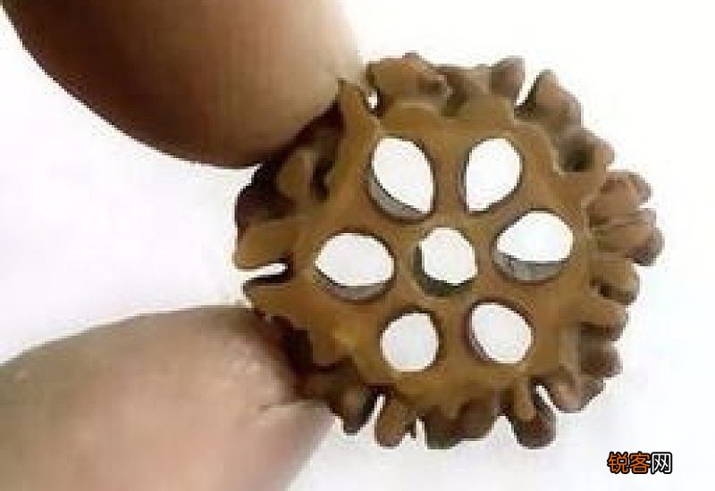 菩提子是空心的还是实心的