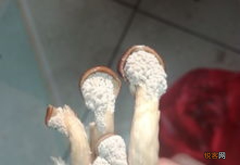 蘑菇长毛了白白的能吃吗