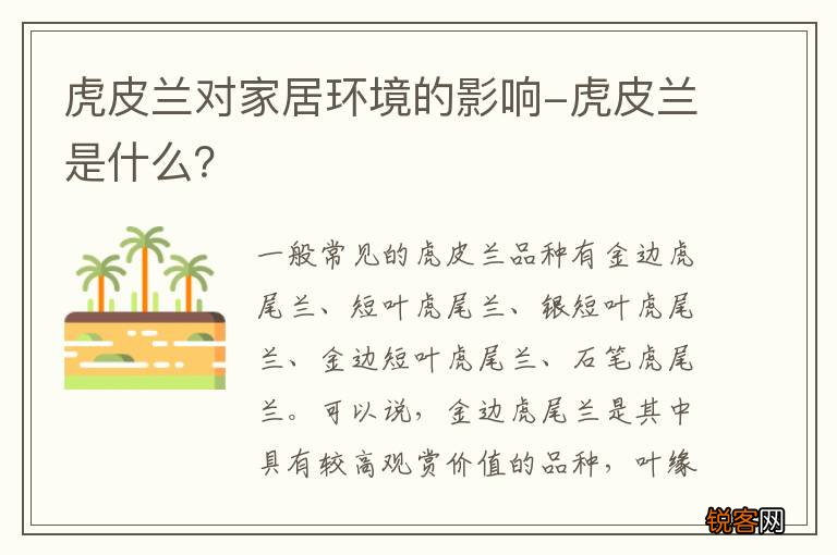 虎皮兰对家居环境的影响-虎皮兰是什么？
