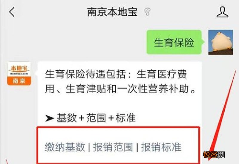 南京市生育保险报销范围和标准是什么？