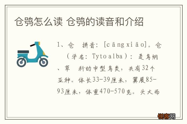 仓鸮怎么读 仓鸮的读音和介绍