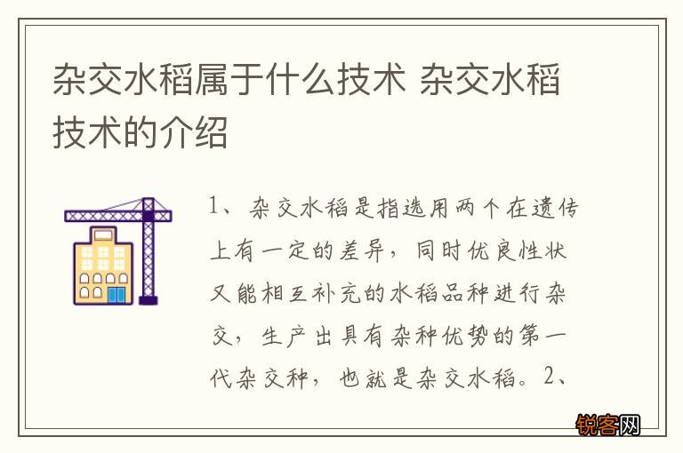 杂交水稻属于什么技术 杂交水稻技术的介绍