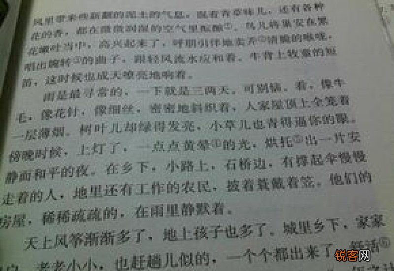 别样的幸福作文600字记叙文10篇