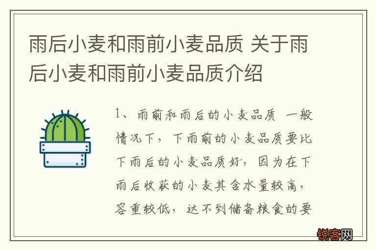 雨后小麦和雨前小麦品质 关于雨后小麦和雨前小麦品质介绍
