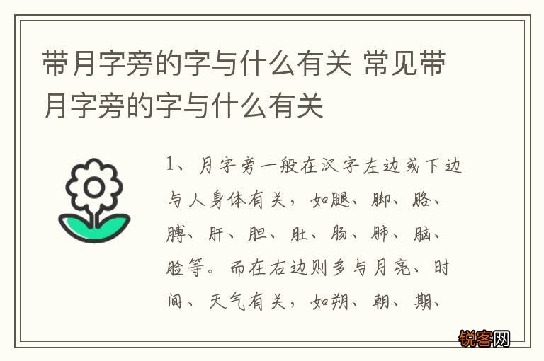 带月字旁的字与什么有关 常见带月字旁的字与什么有关