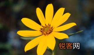 缘故的故是什么意思 缘故造句