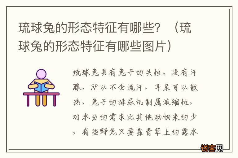 琉球兔的形态特征有哪些图片 琉球兔的形态特征有哪些？