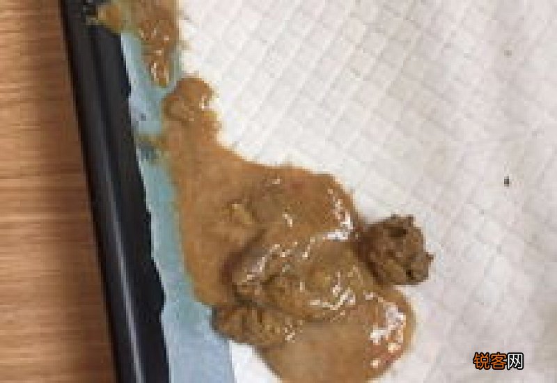 柯基大便有点稀