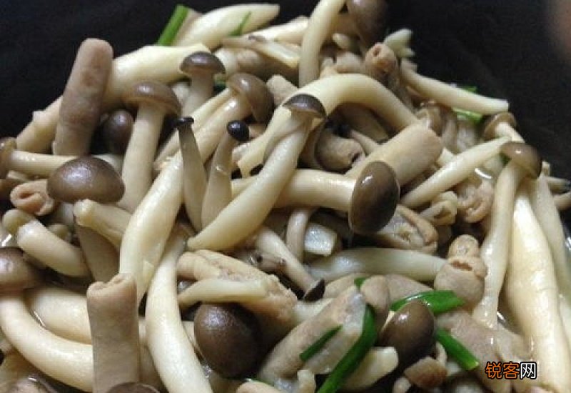 海鲜菇炒之前用焯水吗