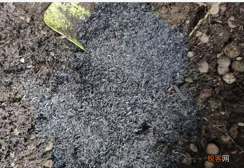稻壳炭适合什么植物