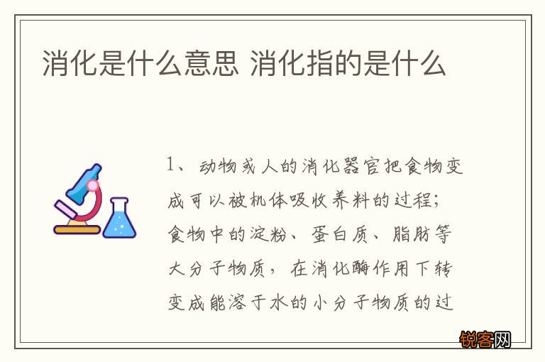 消化是什么意思 消化指的是什么
