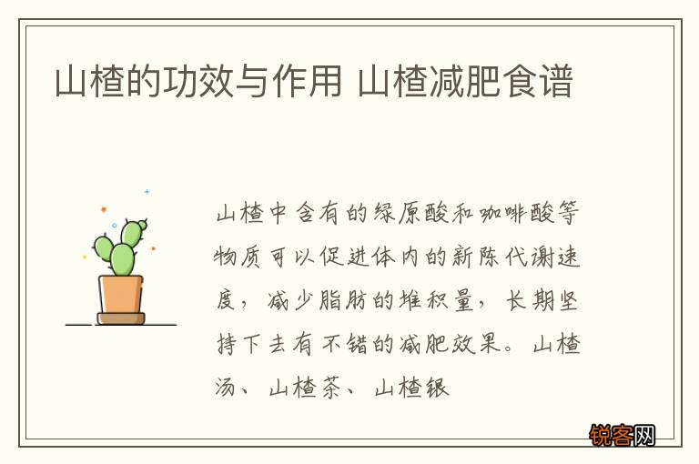 山楂的功效与作用 山楂减肥食谱