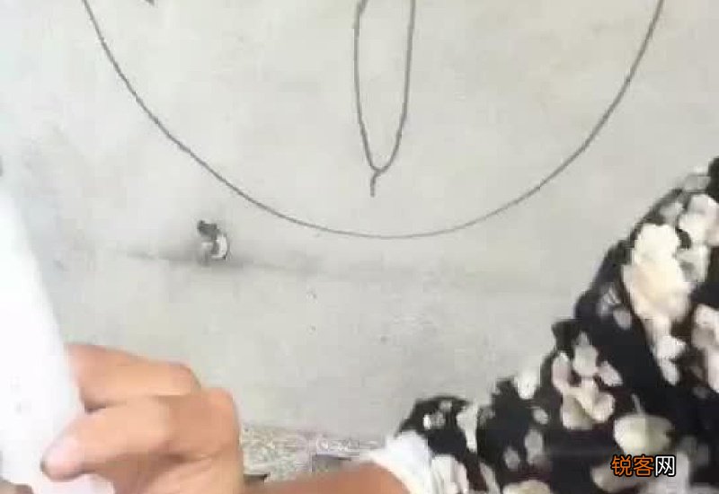 鸷怎么读