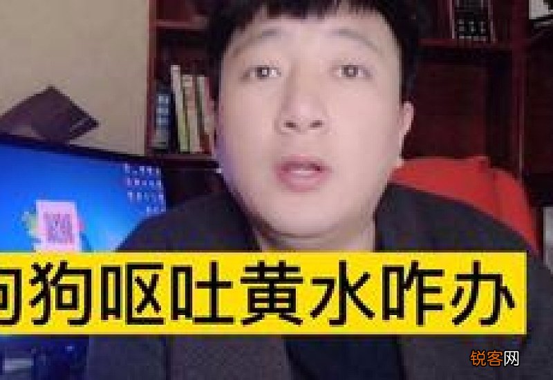 狗狗半夜呕吐黄水泡沫粘液