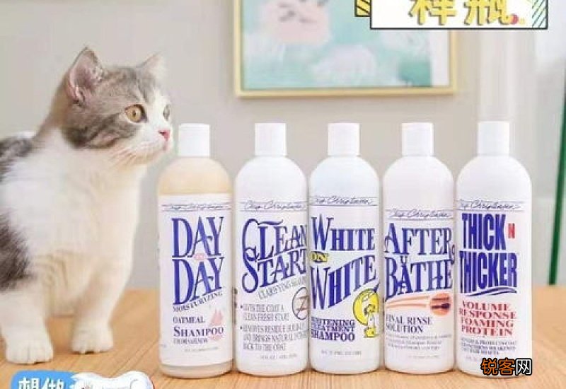 猫咪沐浴露什么牌子好