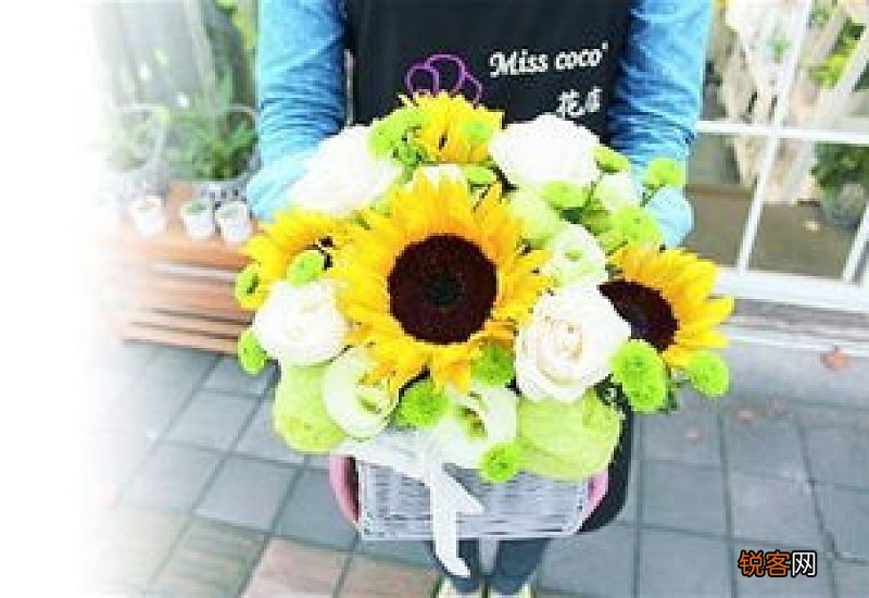 花店买回来的向日葵怎么养活