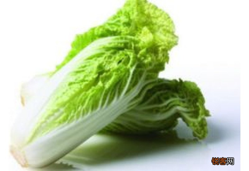 大白菜炒出来发苦是什么原因