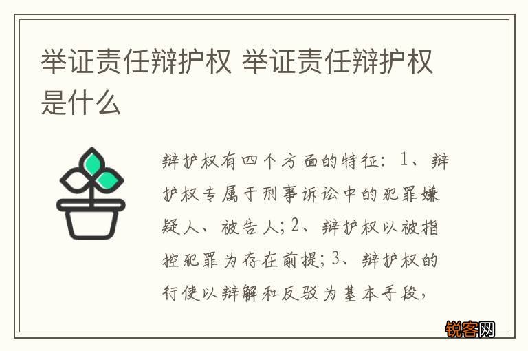 举证责任辩护权 举证责任辩护权是什么
