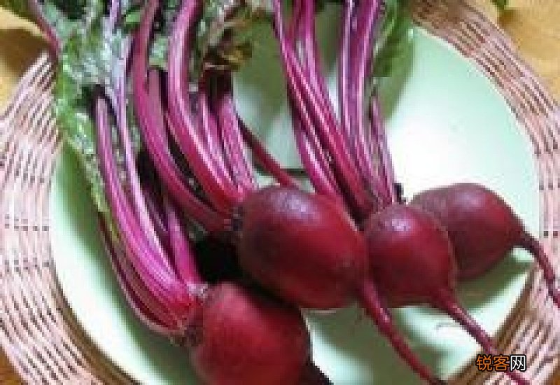 甜菜有哪些食用方法 甜菜的营养成分有哪些