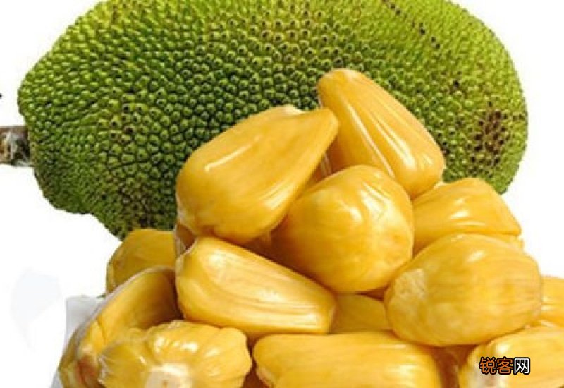 菠萝蜜用石灰封口了可以吃么