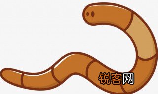 关于蚯蚓的资料 蚯蚓的资料是什么