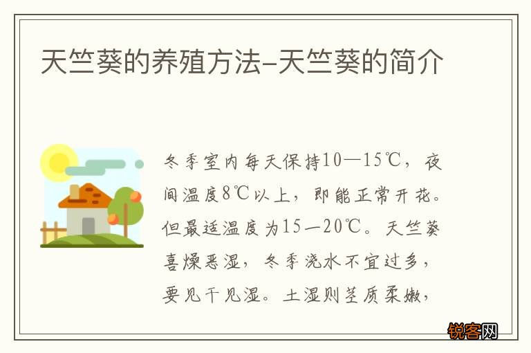 天竺葵的养殖方法-天竺葵的简介