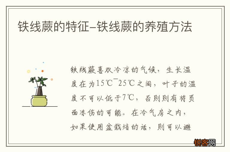 铁线蕨的特征-铁线蕨的养殖方法