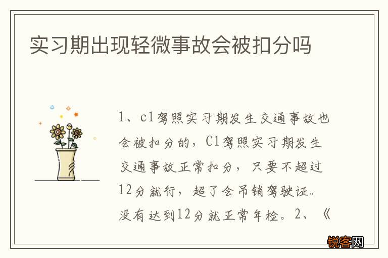 实习期出现轻微事故会被扣分吗