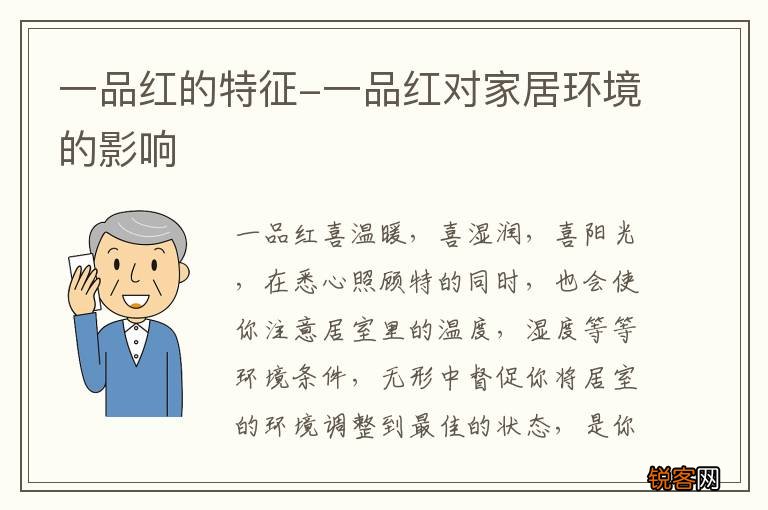 一品红的特征-一品红对家居环境的影响