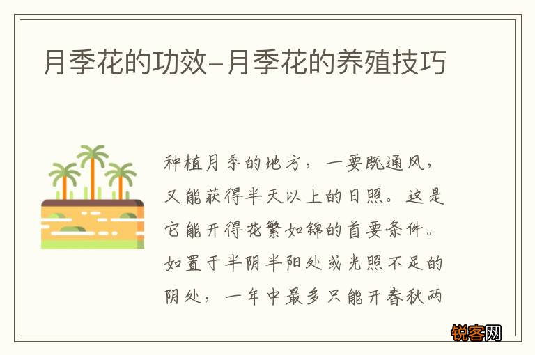 月季花的功效-月季花的养殖技巧