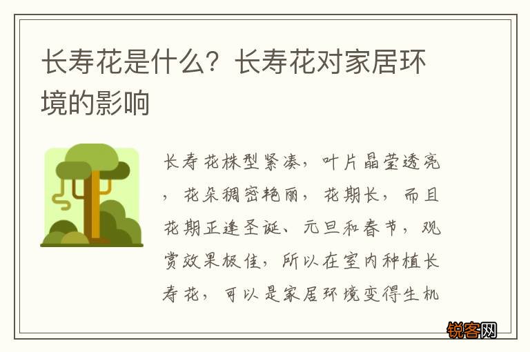 长寿花是什么？长寿花对家居环境的影响