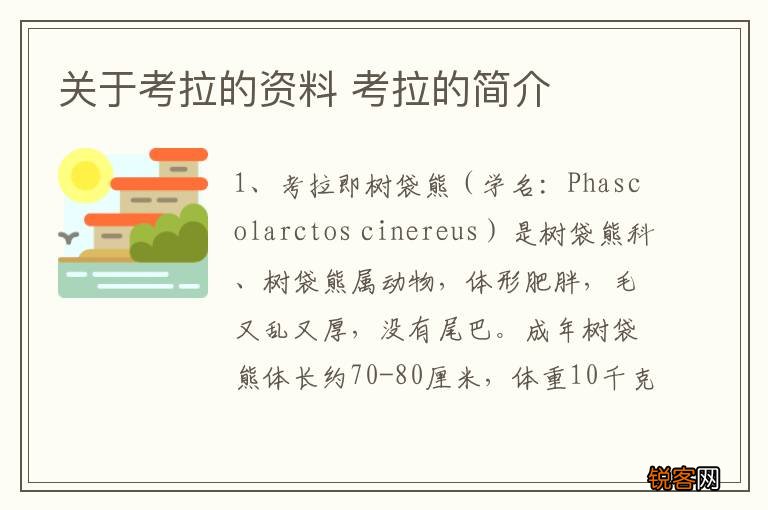 关于考拉的资料 考拉的简介