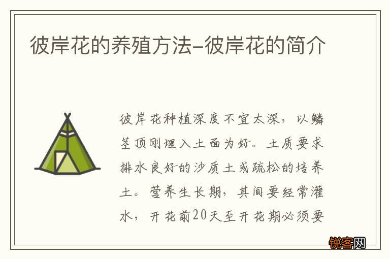 彼岸花的养殖方法-彼岸花的简介