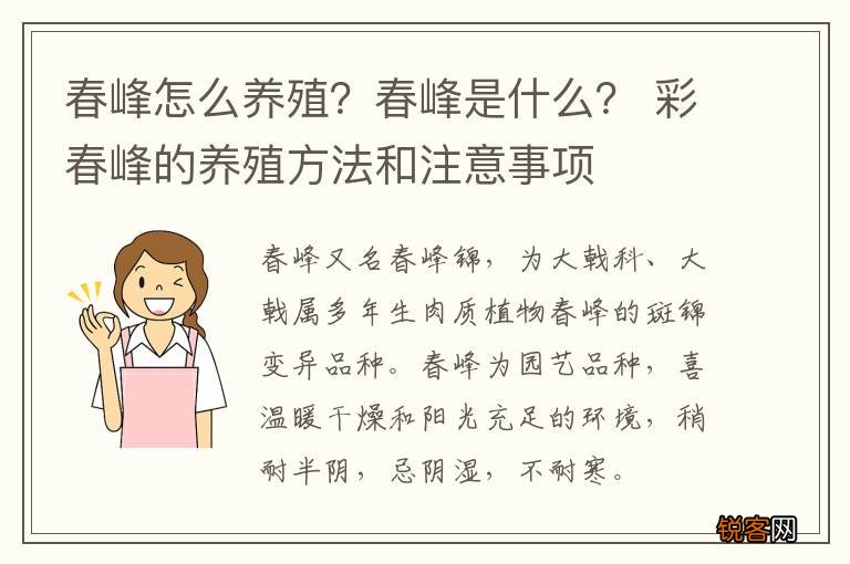 春峰怎么养殖？春峰是什么？ 彩春峰的养殖方法和注意事项
