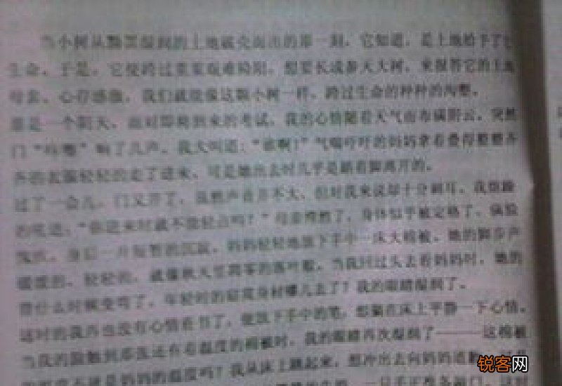 父母的爱作文400字10篇